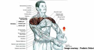 one-dumbbell-front-raise-in