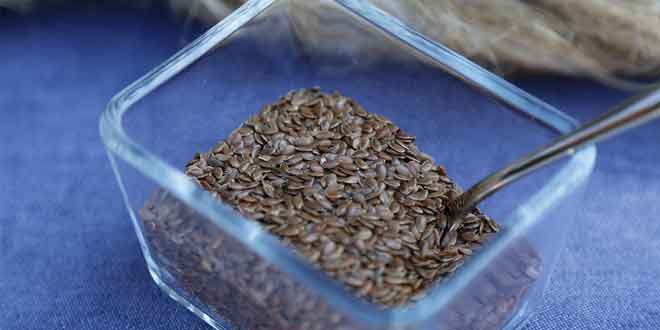 Flax seeds| अलसी उर्फ तीसी के लाभ और साइड इफेक्ट