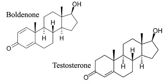 Difference Between Boldenone and testosterone